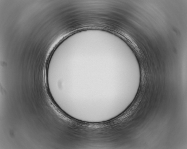 X0000090610796200708071202