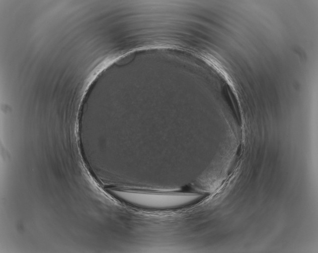 X0000090610797200708071202