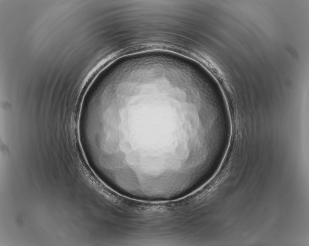 X0000090610798200708071202