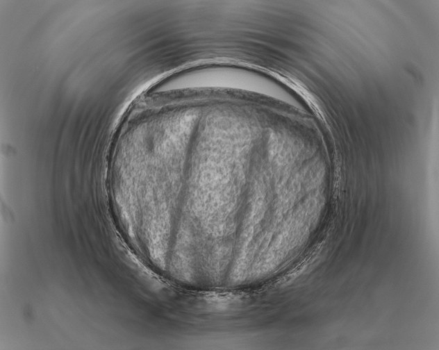 X0000090610799200708071202