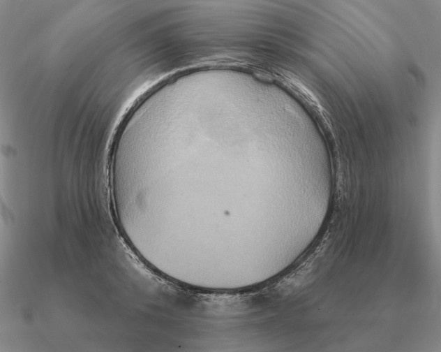 X0000090610800200708071202