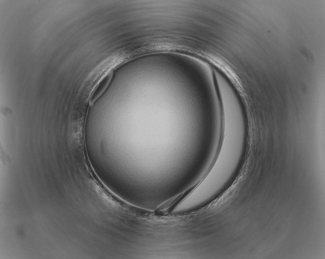 X0000090610801200708071202