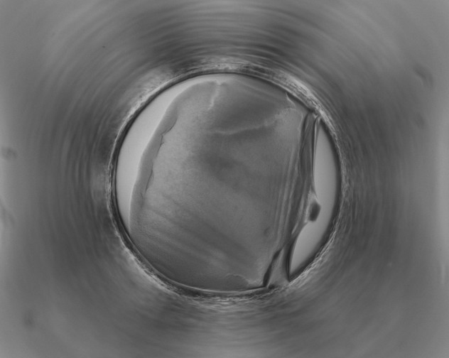 X0000090610802200708071202