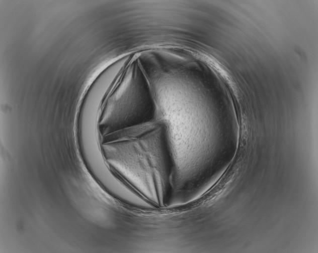 X0000090610803200708071202