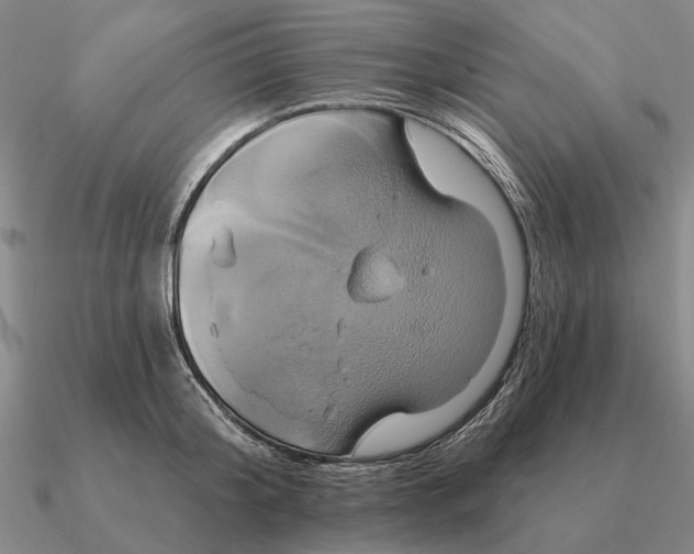 X0000090610804200708071202