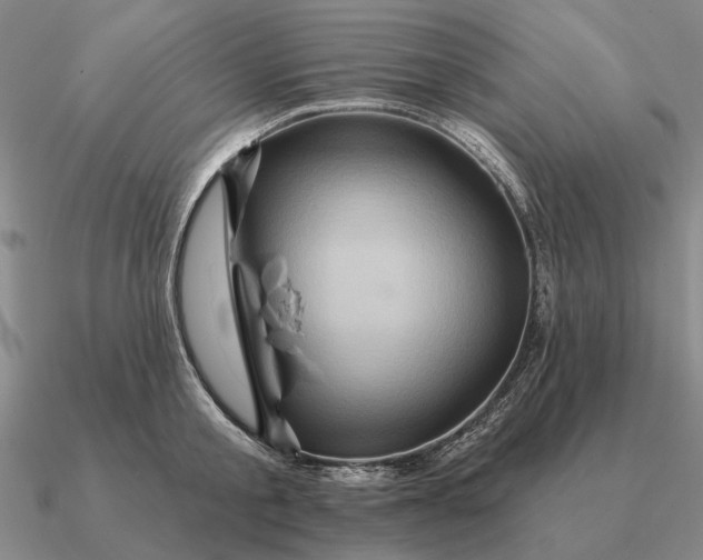 X0000090610805200708071202