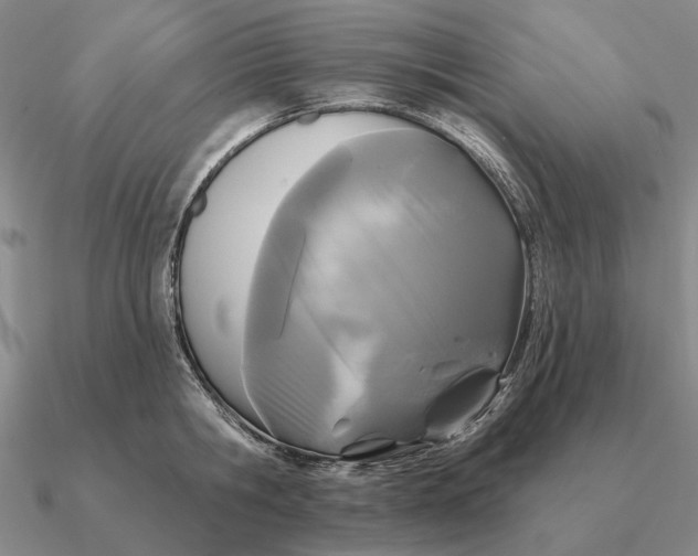 X0000090610806200708071202