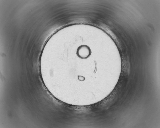 X0000090610807200708071202