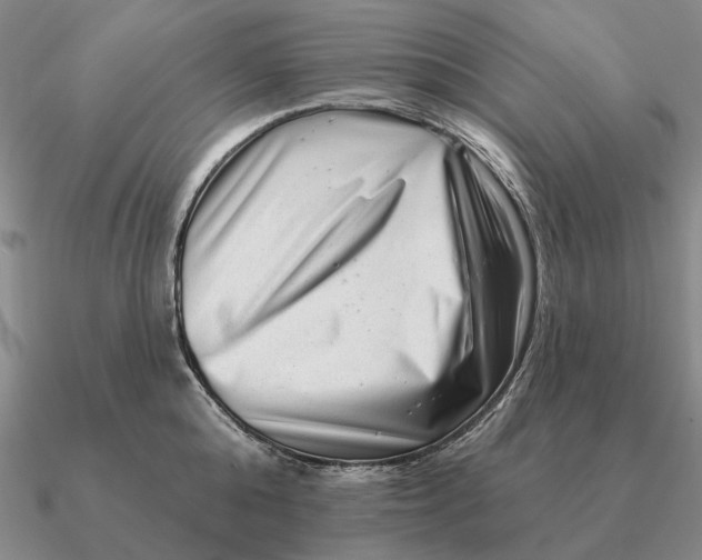 X0000090610808200708071202