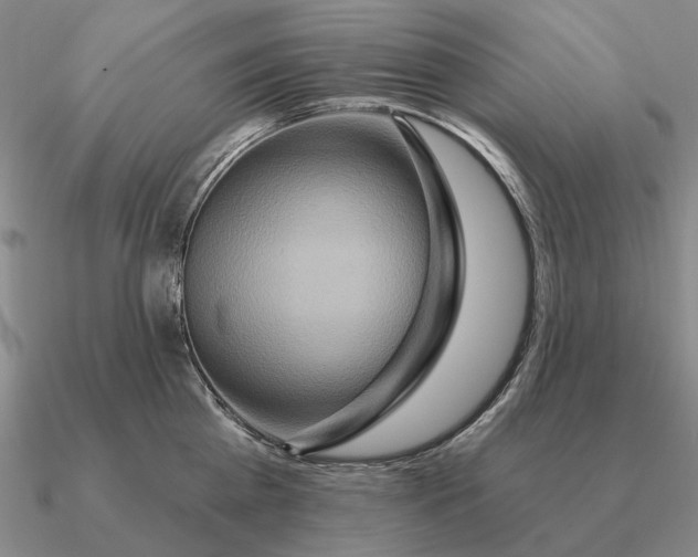 X0000090610809200708071202