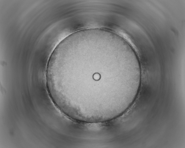 X0000090610810200708071202