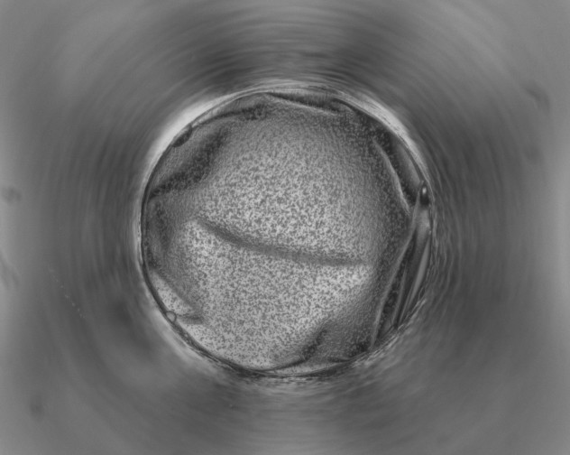 X0000090610811200708071202