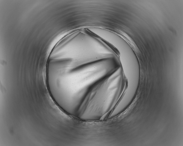 X0000090610812200708071202