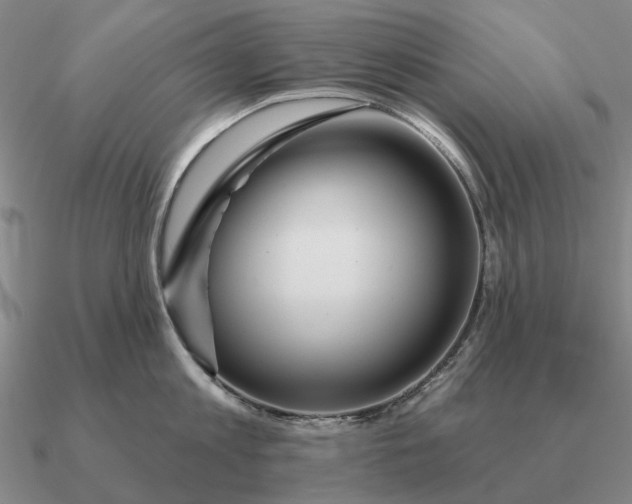 X0000090610813200708071202