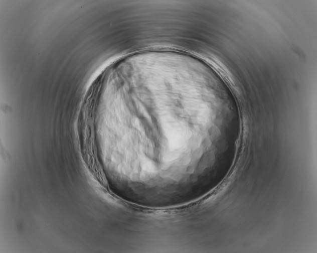 X0000090610814200708071202