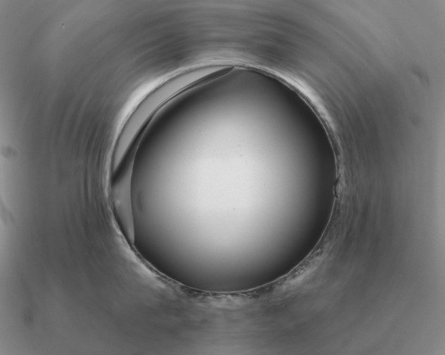 X0000090610815200708071202