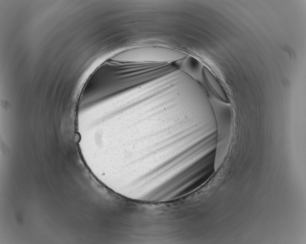 X0000090610816200708071202