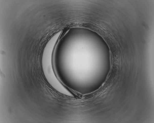 X0000090610818200708071201