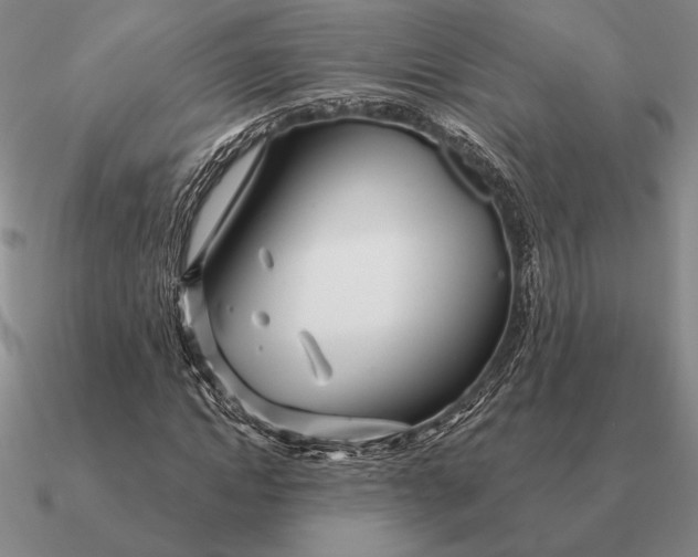 X0000090610822200708071201