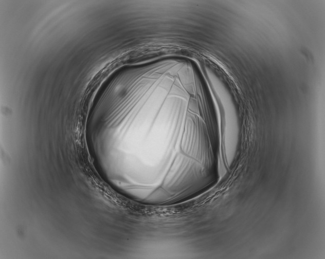 X0000090610823200708071201