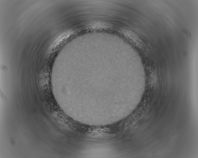 X0000090610824200708071201