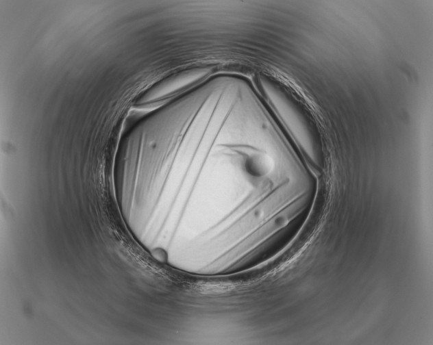 X0000090610825200708071201