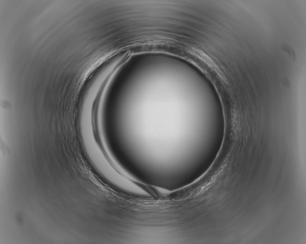 X0000090610826200708071201