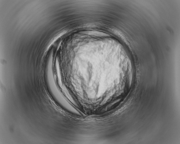 X0000090610827200708071201