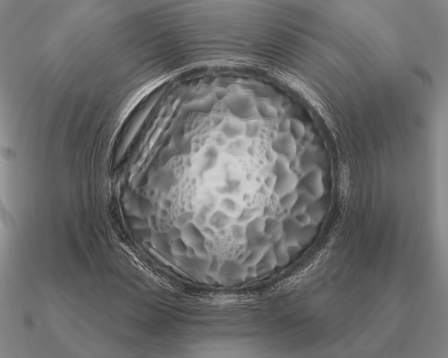 X0000090610829200708071201