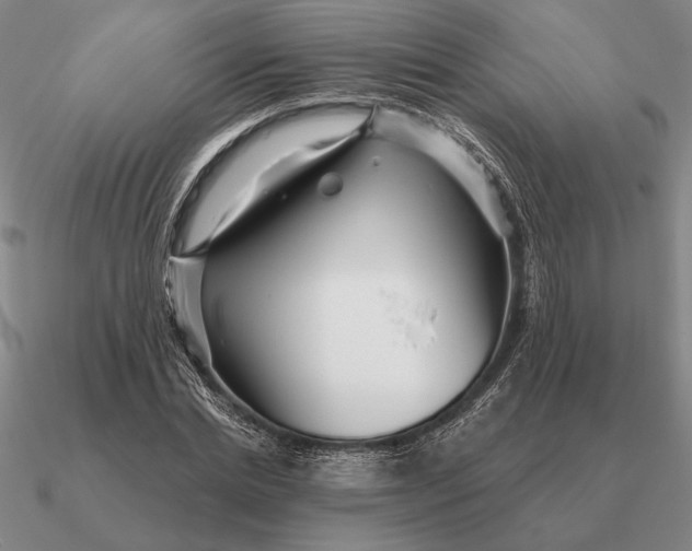 X0000090610830200708071201