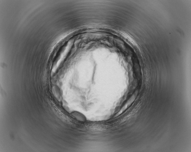 X0000090610831200708071201