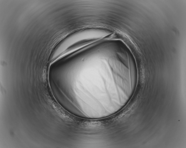 X0000090610833200708071201