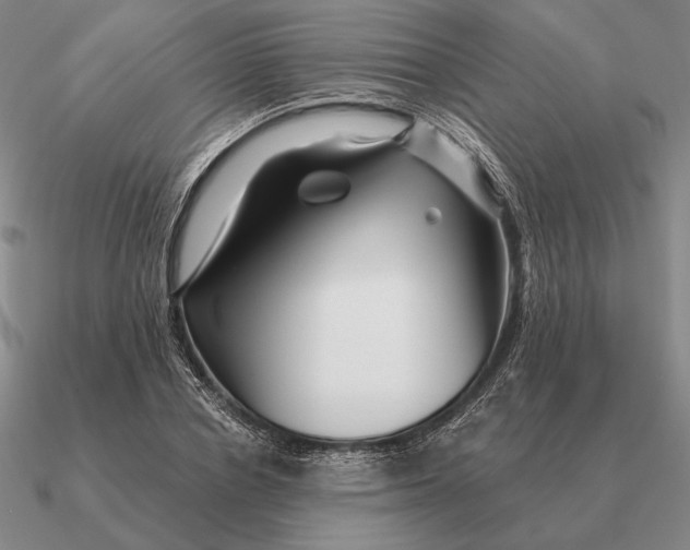 X0000090610834200708071201