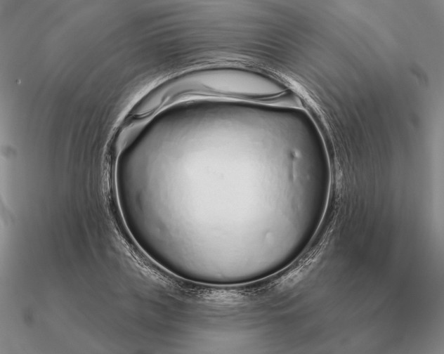 X0000090610835200708071201