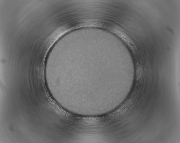 X0000090610836200708071201