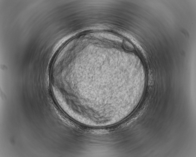 X0000090610837200708071201