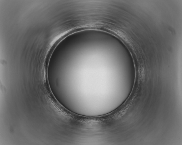 X0000090610838200708071201