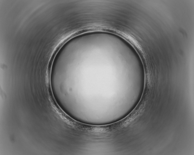 X0000090610839200708071201