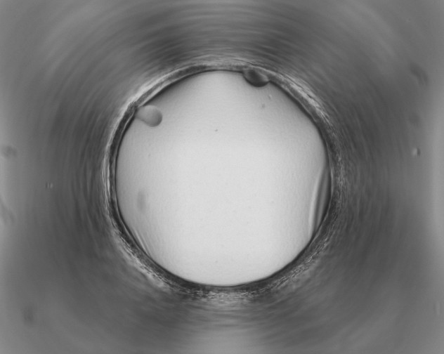 X0000090610840200708071201