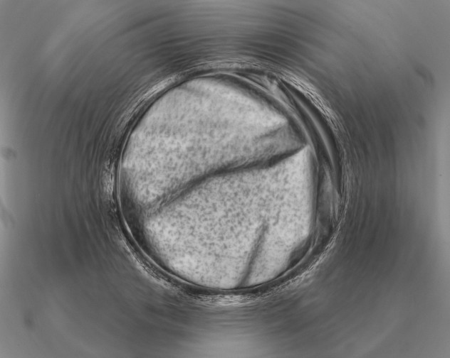 X0000090610841200708071201