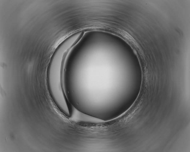 X0000090610842200708071202