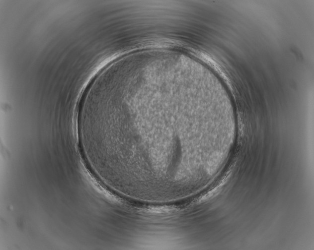 X0000090610843200708071202