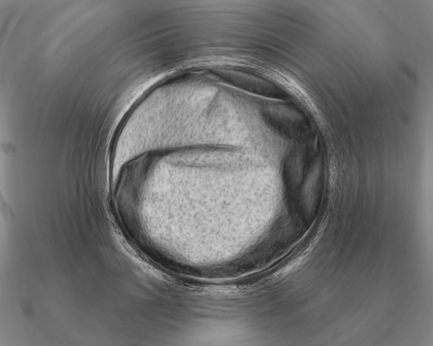 X0000090610844200708071202