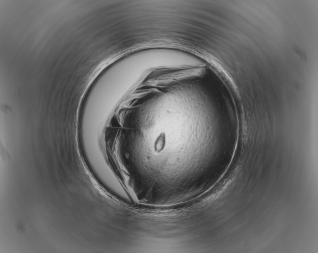 X0000090610845200708071202