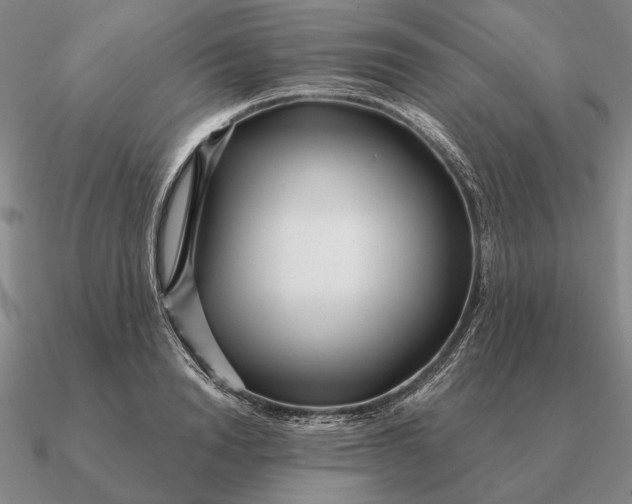 X0000090610846200708071202