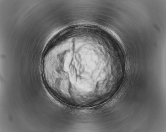 X0000090610847200708071202