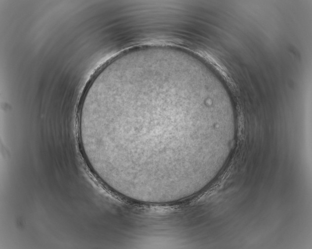 X0000090610848200708071202