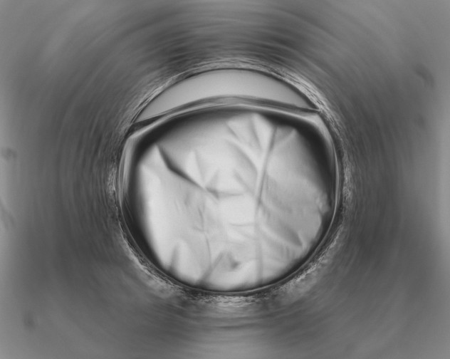 X0000090610849200708071202