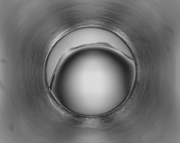 X0000090610850200708071202