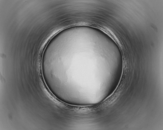 X0000090610851200708071202